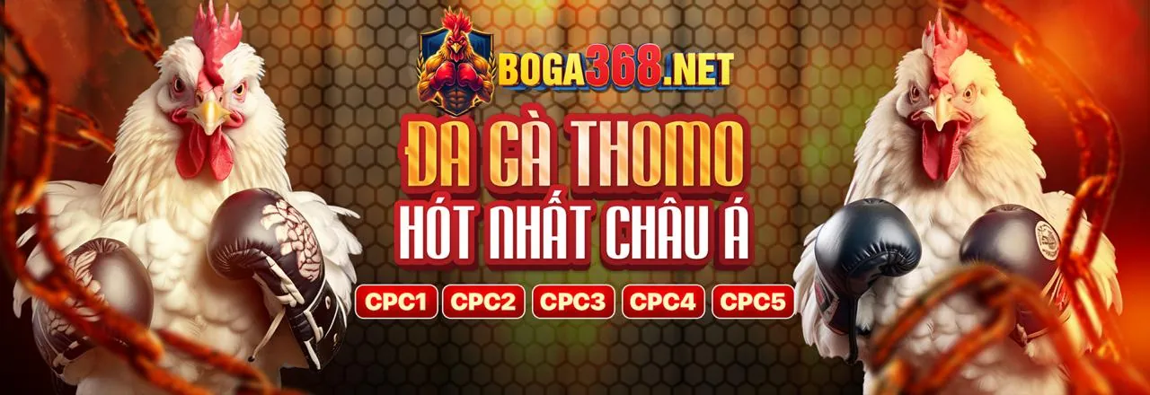 Đá Gà ggwin đăng nhập 2026 - Trận Đấu Kịch Tính